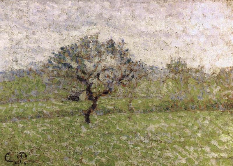 Camille Pissarro Apple France oil painting art